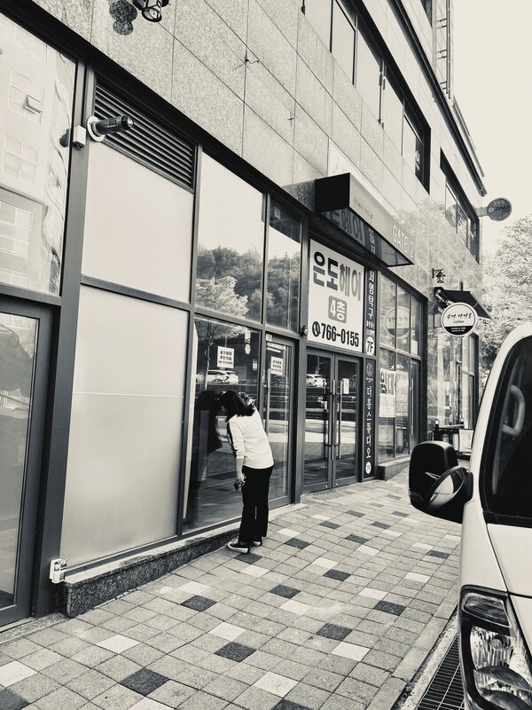 현장 관측 및 조사